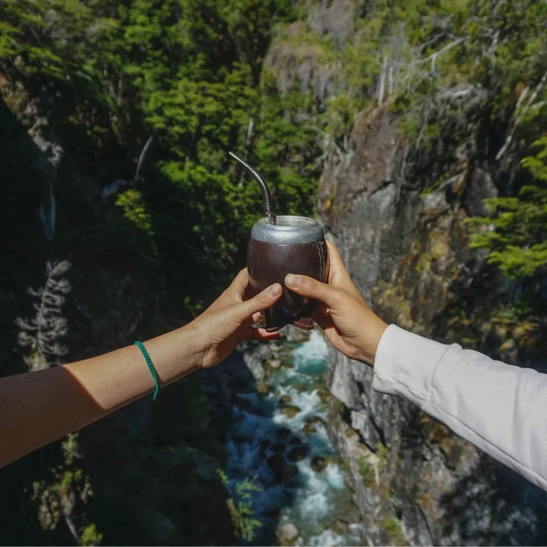 Yerba mate gerimas kaip alternatyva kavai