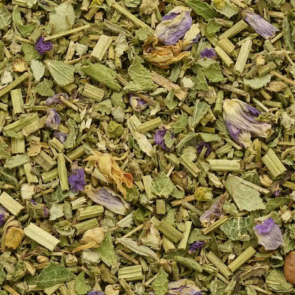 Pasifloros žiedai (Passiflora) – natūrali žolelių arbata