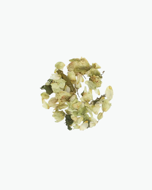 Apynių spurgai (Humulus lupulus) - 200 g