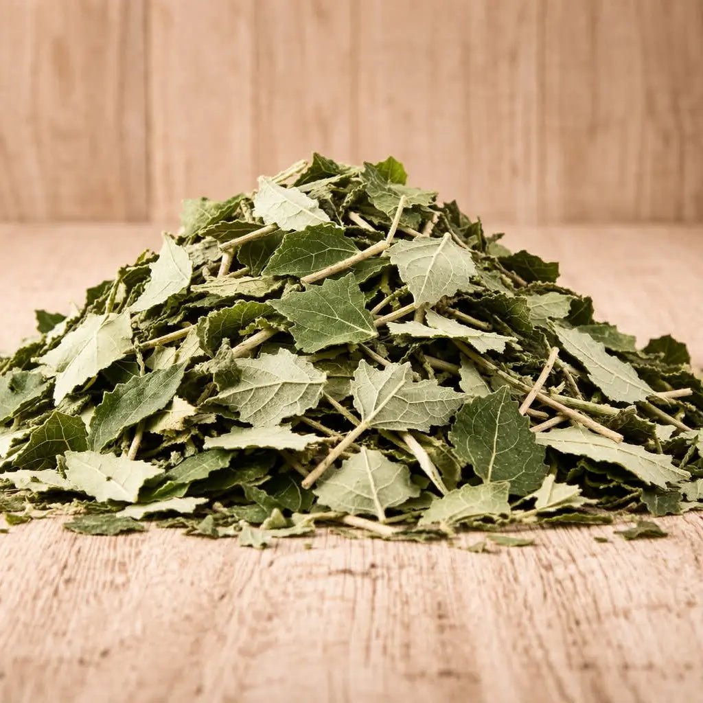 Baltojo šilkmedžio lapai (Morus alba) – žolelių arbata