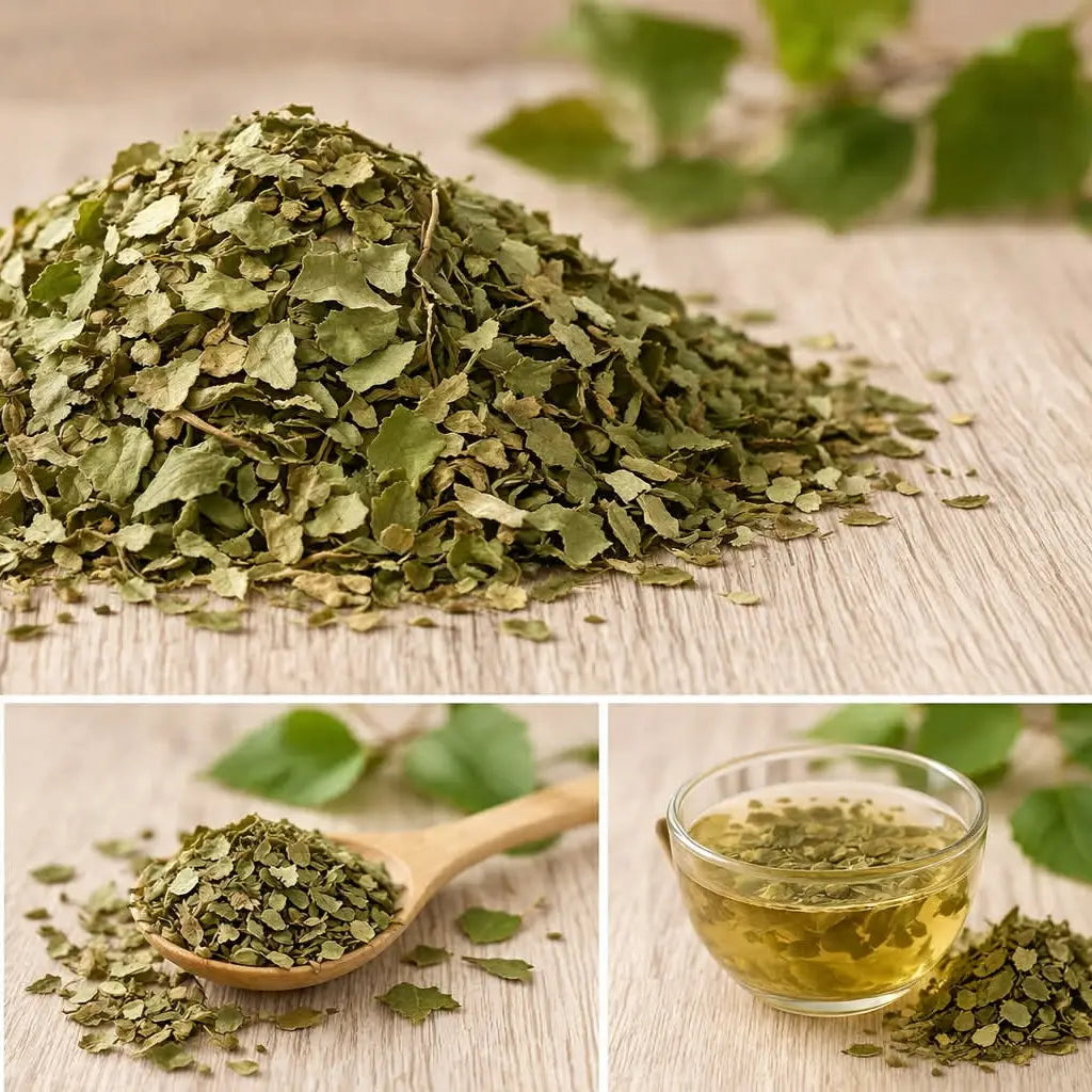 Beržų lapai (Betula folium) – natūrali žolelių arbata lengvumo ir šlapimo sistemos savijautai