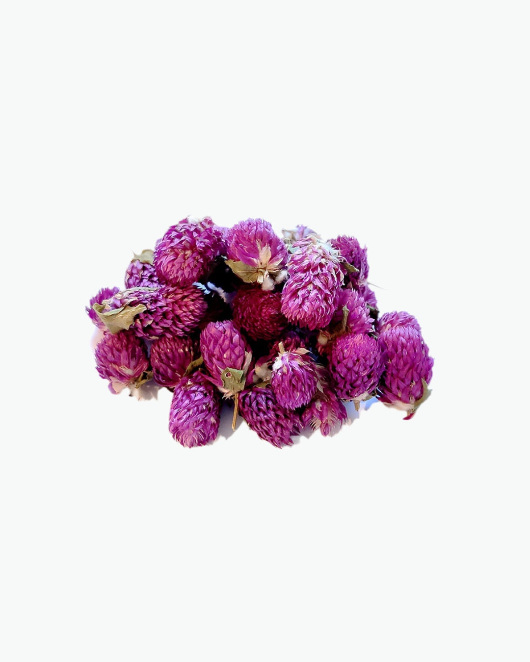 Gomfrenos žiedai (Gomphrena globosa) – žolelių arbata